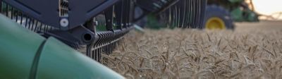 harvester going over wheat crop