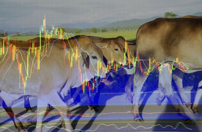 Mercado e Soluções