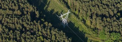 brush around hydro tower