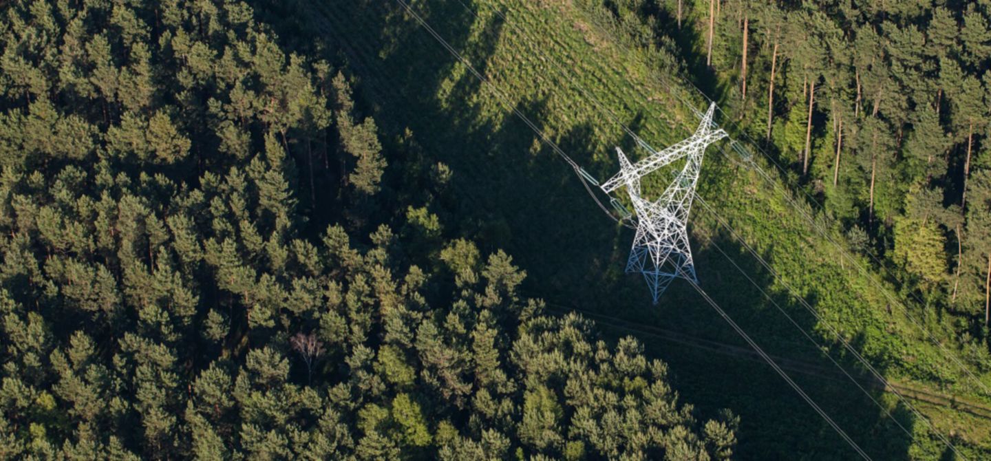 brush around hydro tower