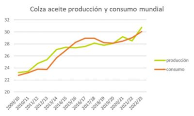 El despegue de la Colza- Gráfica 4