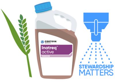 Inatreq best practice advice stewardship icon / header