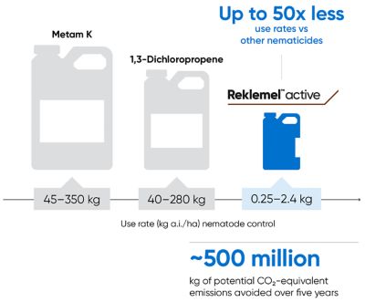 Infographic_Rinksor_active