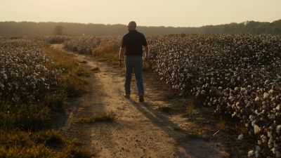 Man walking away down dirt road between crop fields at sunrise