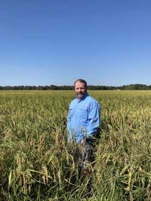 Keith Shelton in rice field