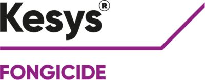 Brand_Logo