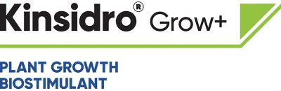 Kinsidro Grow
