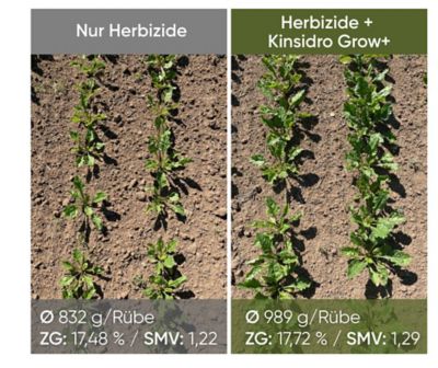 KinsidroGrow+_DE_2026_sugarbeet_1080x1920