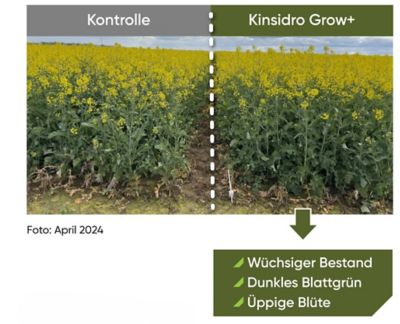 KinsidroGrow+_DE_2026_rapeseeds_1080x1920