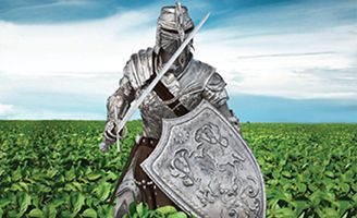 Knight standing in a field of soybeans