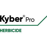 Kyber Pro logo