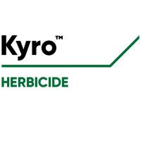 Kyro logo