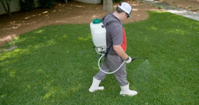 LCO spraying lawn with backpack sprayer