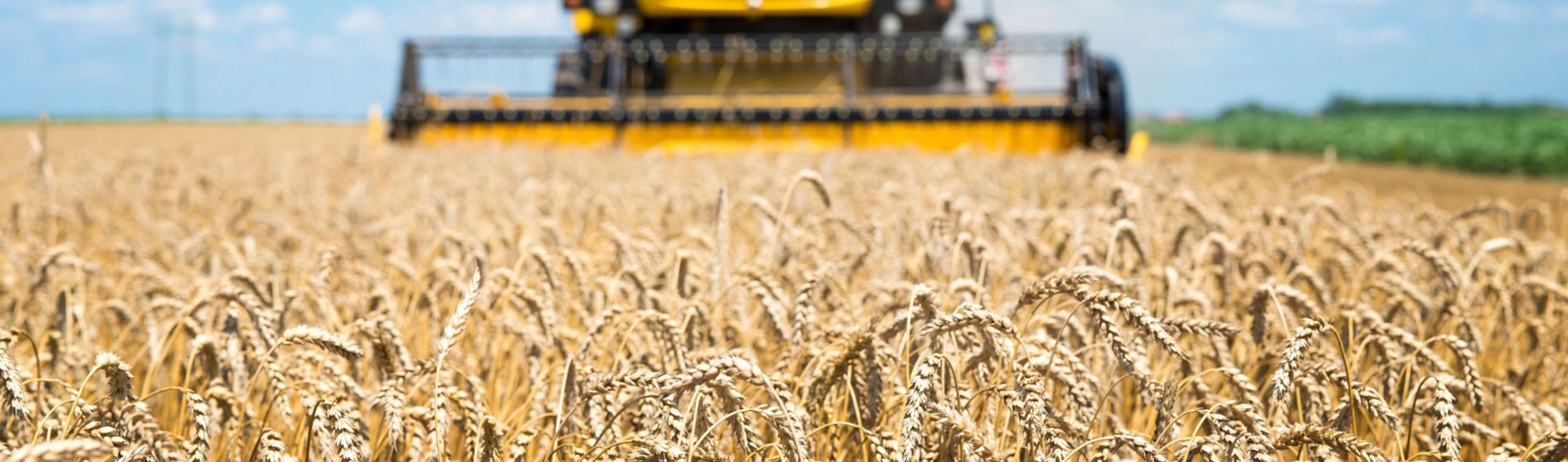 La agricultura es innovación continua para ser sostenible