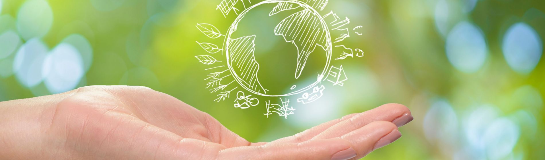 La agricultura sostenible