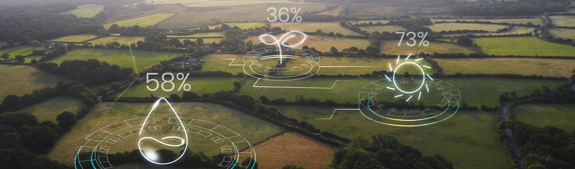 Día Mundial del Medio ambiente
