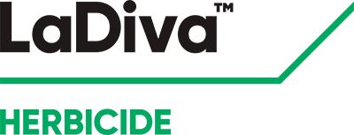 Brand_Logo