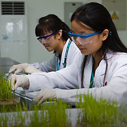 Two female lab technicians work with plants.