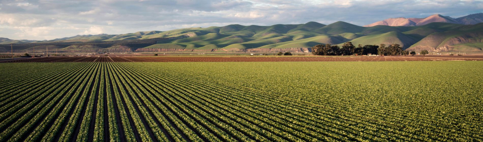 Una PAC orientada a impulsar la sostenibilidad y la digitalización