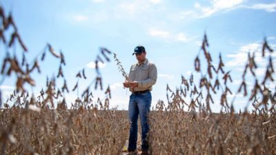Homem de pé em meio a uma lavoura de soja