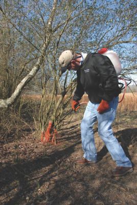 Low volume basal back pack spraying