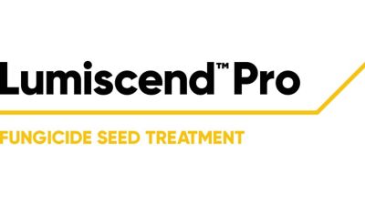 Lumiscend Pro logo