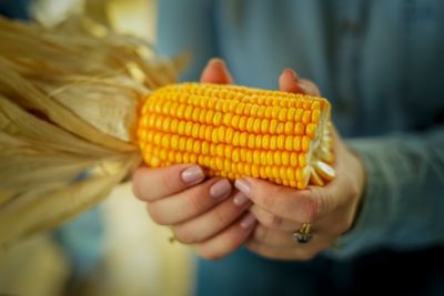 IMG-AF_DOW013422D_webBannerProduto_1440x560px_a01