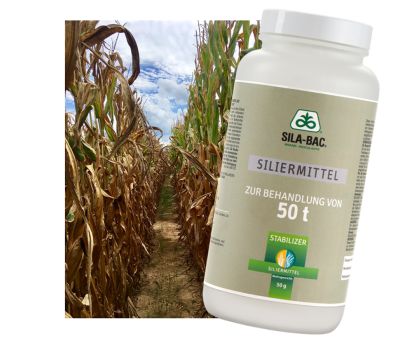 IMG-Mais-Stabilizer-Pioneer-V1