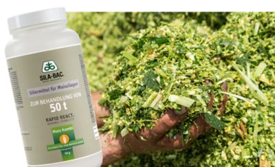 IMG-Mais_Rapid_React_final-Pioneer-V1