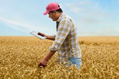 фермер в поле с пшеница