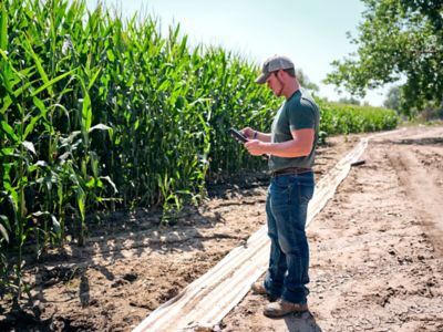 Man standing by cornfield