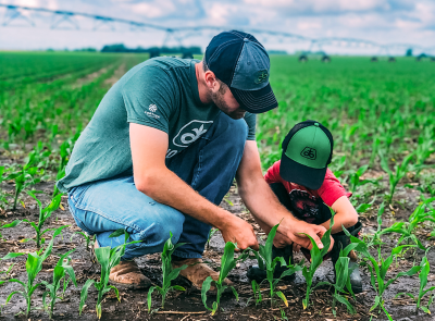Photo - man and child in field - examining crops