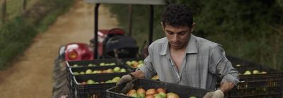 Man carrying crate of fruit