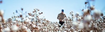 Man standing in cotton field