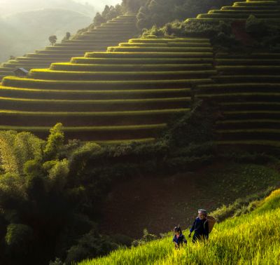 Mother Daughter on Rice Terraces