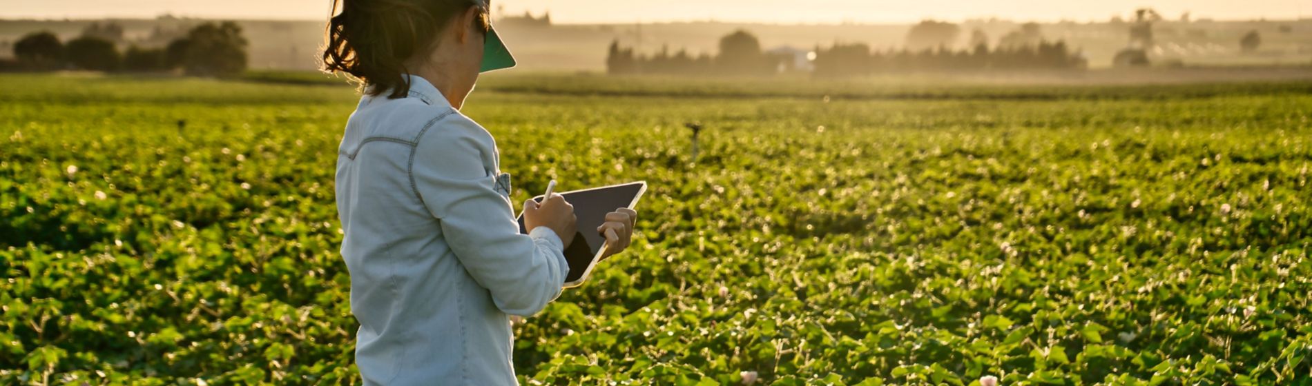 Día Mundial del Suelo