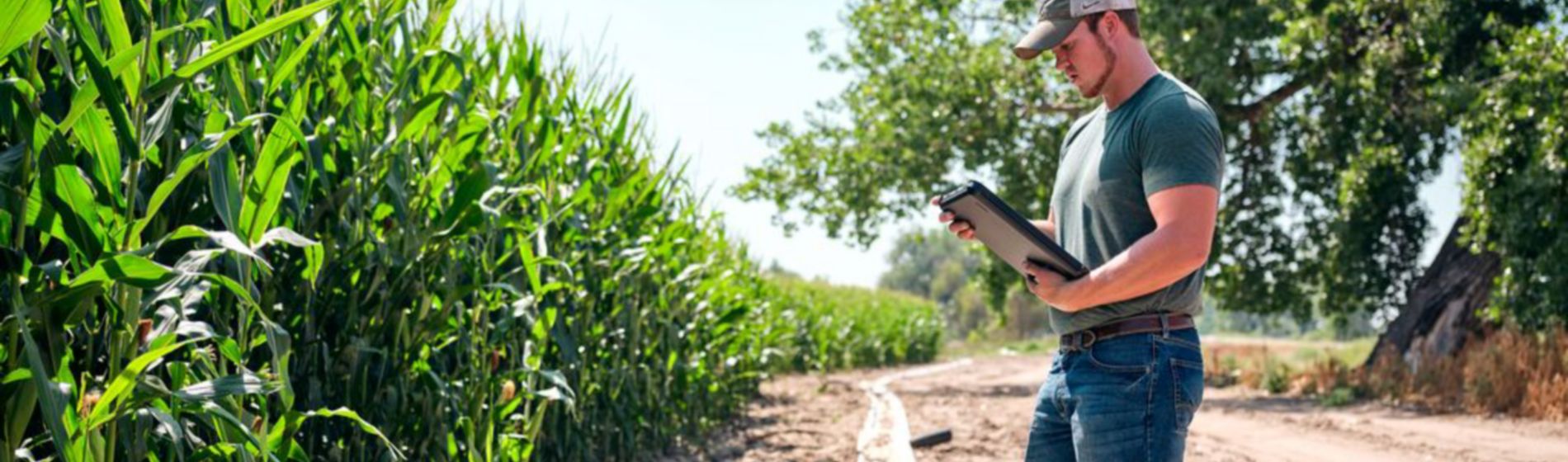 Nuevos trabajos para el duro campo