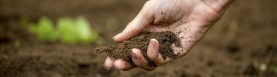 Objectifs de durabilité au profit des terres