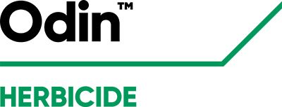 Brand_Logo