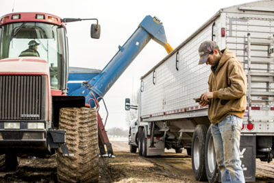 Photo - Grain from combine to truck