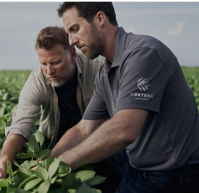 Men in soybean field 