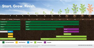 Cereal portfolio graphic 
