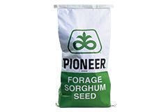 Forage Sorghum Seed Bag - Pioneer
