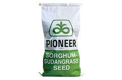 Sorghum-Sudangrass Seed Bag - Pioneer