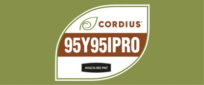 A imagem mostra um selo em formato de folha sobre fundo verde-oliva. Dentro do selo aparece a marca Cordius® com um ícone de folha, seguida pelo código “95Y95IPRO” em destaque sobre uma faixa marrom. Na parte inferior, há o logotipo “INTACTA RR2 PRO”, indicando a tecnologia associada à cultivar.