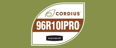 A imagem mostra um selo em formato de folha sobre fundo verde-oliva. Dentro do selo aparece a marca Cordius® com um ícone de folha, seguida pelo código “95Y95IPRO” em destaque sobre uma faixa marrom. Na parte inferior, há o logotipo “INTACTA RR2 PRO”, indicando a tecnologia associada à cultivar.