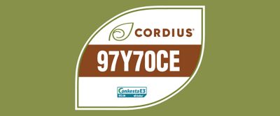 A imagem mostra um selo em formato de folha sobre fundo verde-oliva. Dentro do selo aparece a marca Cordius® com um ícone de folha, seguida pelo código “97Y70CE” em destaque sobre uma faixa marrom. Na parte inferior, há o logotipo “Conkesta E3 Soja Enlist”, indicando a tecnologia associada à cultivar.
