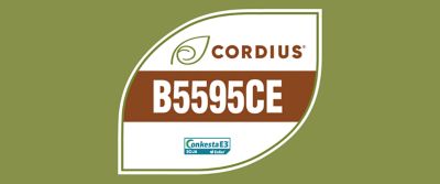 A imagem mostra um selo em formato de folha sobre fundo verde-oliva. Dentro do selo aparece a marca Cordius® com um ícone de folha, seguida pelo código “B5595CE” em destaque sobre uma faixa marrom. Na parte inferior, há o logotipo “Conkesta E3 Soja enlist”, indicando a tecnologia associada à cultivar.
