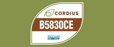 A imagem mostra um selo em formato de folha sobre fundo verde-oliva. Dentro do selo aparece a marca Cordius® com um ícone de folha, seguida pelo código “B5830CE” em destaque sobre uma faixa marrom. Na parte inferior, há o logotipo “Conkesta E3 Soja Enlist”, indicando a tecnologia associada à cultivar.