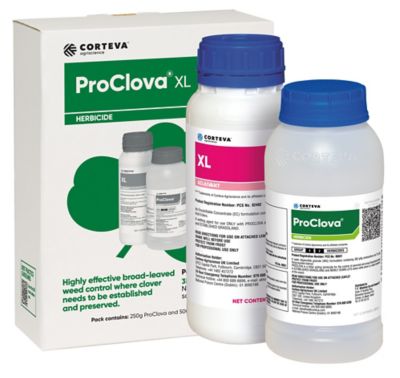 img-proclova-ie-v2